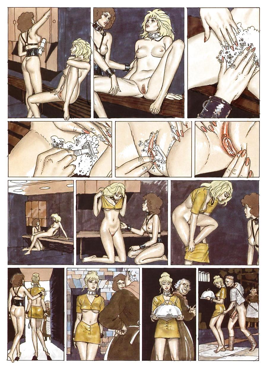 Erotic Comic Art 16   - The Dream of Cecilia